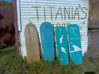 Left to right: (1) Harvie Thompson bellyboad, made from a single piece of hoop pine, ca. 1940s. (2) Painted blue over pink, with two nailed battens on the bottom, this surfboard is believed to have been made in the late-1940s by Harvie Thompson for his daughter, Sue, for surfing at Clifton Beach. It is made from a single piece of steam-curved wood. (3) Nigel Bills made this board in the early-1960s for his wife, Sue, about twenty years after they were married. Marine ply with a rounded nose and rounded tail, and a hole for a rope. This blue  board has two white fish and the letters S B near the nose. (4) Nigel Bills board made for his sone, David, to surf at Clifton Beach, ca. early-1960s. This marine ply belly board has a rounded nose with rope hole, a rounded tail and is painted blue with a stick figure surfing and white lettering, "Dave loves waves."