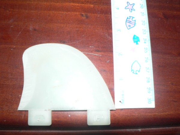 P1080578 (600 x 450).jpg