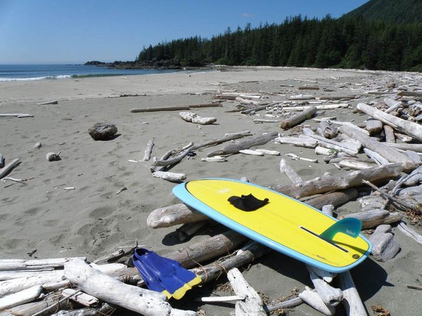 At rest, West Coast, Vancouver Island