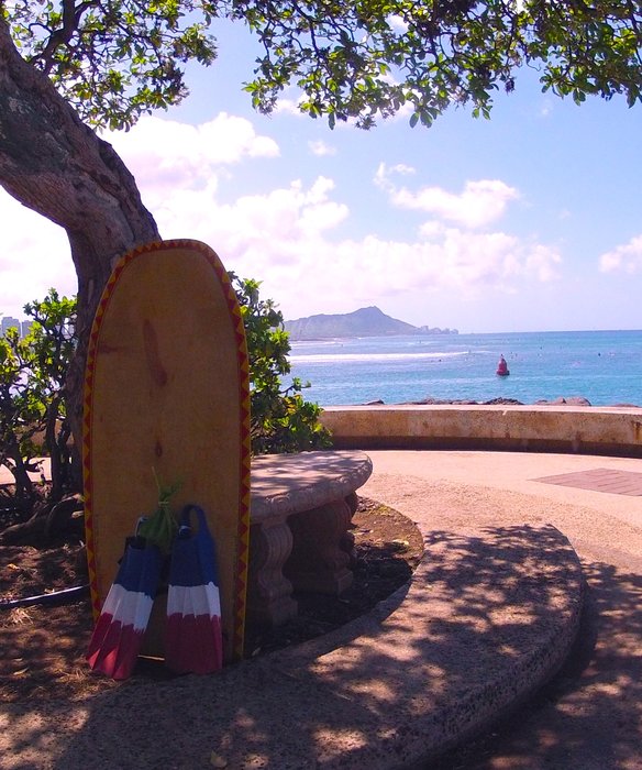 GOPR0005.JPG (1.49 MiB) Viewed 251178 times Hawaiian Papa Paepo`o Board (Paipo)