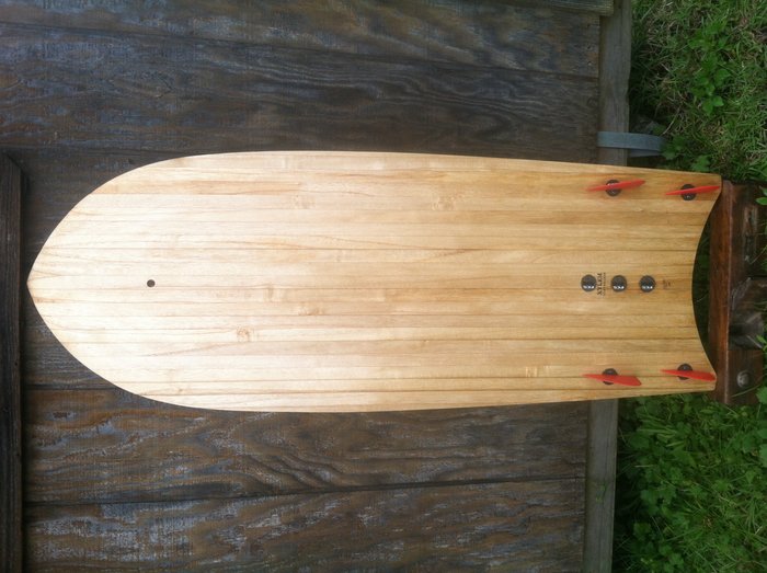 image.jpeg (1.93 MiB) Viewed 32359 times Xylem with FCS fins