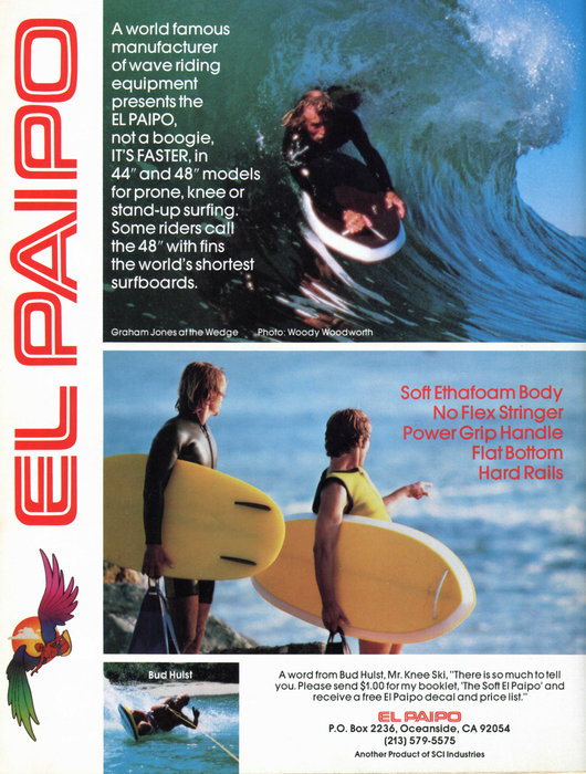 SMQv20n02p016_ElPaipo.jpg