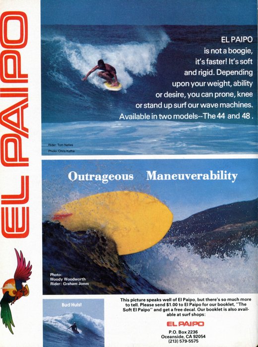 ISMv15n04p020-ElPaipo_h1000.jpg