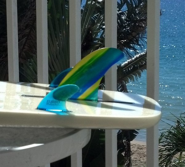 fins-2.jpg