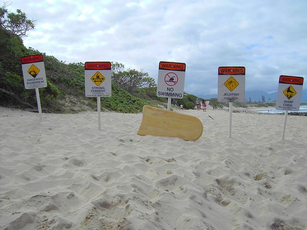 lost_paipo related.jpg (94.66 KiB) Viewed 28552 times paipo related