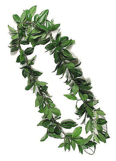 maile-leis-big-island[2].jpg