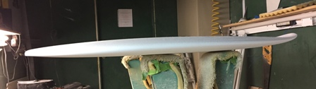 Tail is on the left.