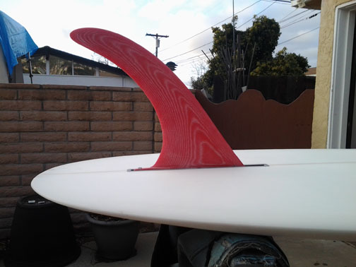 pumpkin seed fin 2.jpg