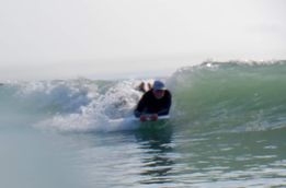 FB_Harrell_surf.jpg