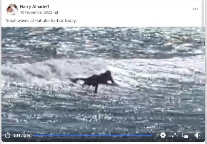 FB_Alhadeff_V.jpg