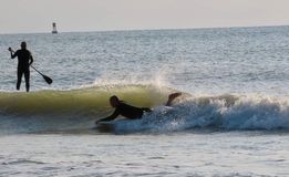 FB_Harrellsurfing.jpg