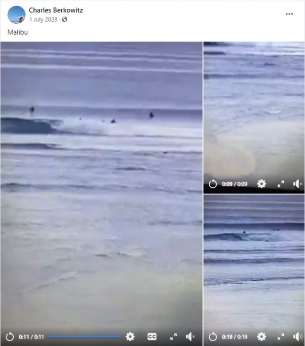 Berkowitz-Malibu.jpg