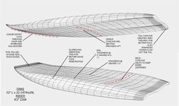 Haugh29July23graphic.jpg
