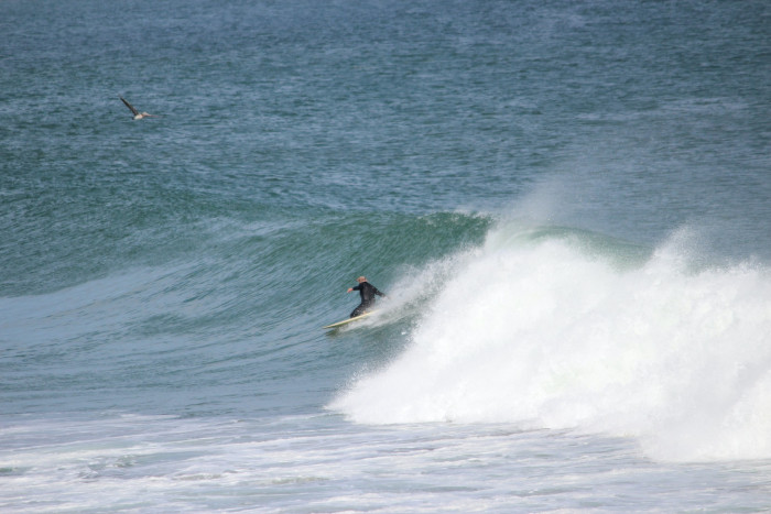KellyR2Aug24b.jpg