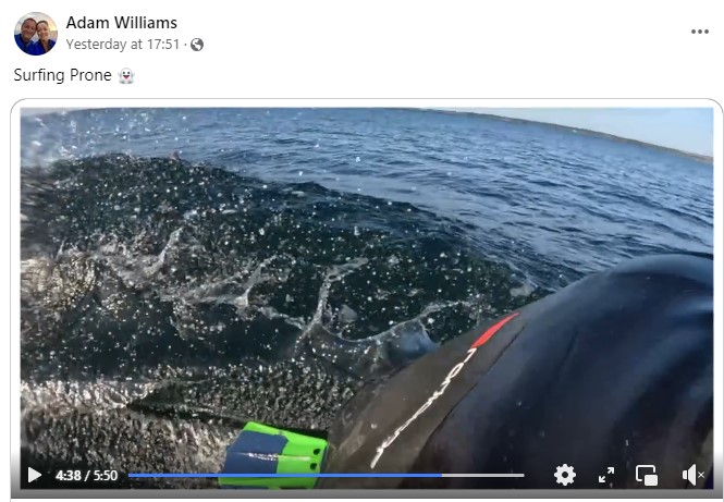 Waka1Sep24.jpg