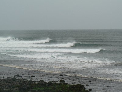 P1050914 (400 x 300).jpg