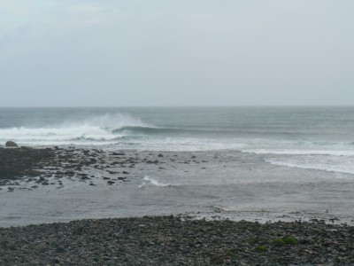 P1050918 (400 x 300).jpg